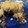 El cooksnap de Andrea Perez cuando hizo Crumble de manzana y durazno.