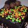 Cooksnap dari Anggun Rassi Cita untuk resep Brownies kukus coklat sederhana lembut tekstur basah