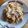 El cooksnap de Gisela Giralt Lapeña cuando hizo Risotto de calabaza y champiñones con queso gorgonzola.
