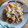El cooksnap de Gisela Giralt Lapeña cuando hizo Risotto de calabaza y champiñones con queso gorgonzola.
