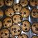 Cooksnap dari Heni Solehudin untuk resep Brownies kering mini