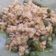 Cooksnap dari tryssyafeby untuk resep ulukuteuk leunca 