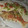 El cooksnap de Gema cuando hizo Quesadillas de cerdo en adobo.