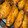 ZU's cooksnap of when they made Mango Salsa.