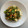 Cooksnap dari Dini Putri untuk resep Tumis pokcoy telur asin