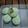 Cooksnap dari Tjiwee Setyawan Hardjono untuk resep Mochi gulung