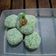 Cooksnap dari Tjiwee Setyawan Hardjono untuk resep Mochi gulung