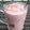 Cooksnap dari Winda Setyareni untuk resep Sop buah yoghurt