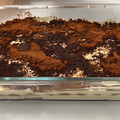 El cooksnap de Francisco Lopez cuando hizo Tiramisú.