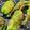Liam's cooksnap of when they made Padrón peppers.