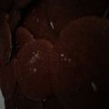 El cooksnap de María Labrador cuando hizo Galletas de Chocolate.