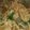 rrmacal's cooksnap of when they made Sausage, Chicken, and Shrimp Penne Pasta.