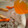 satnamkaur khanuja's cooksnap of when they made ટમૅરીક ટી (Turmeric Tea Recipe In Gujarati).