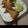 Yirel Zawadi Okongo's cooksnap of when they made Beef samosas.