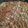 JimL's cooksnap of when they made My Favorite Tuna Noodle Casserole.