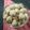 Cooksnap dari Ma2 Khansa A.N untuk resep Bakso Seitan / Bakso Vegetarian / Bakso Gluten