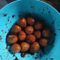 Cooksnap dari Sari Hadiyati untuk resep Bacem Telur Puyuh