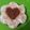 El cooksnap de Feristóteles cuando hizo Galletas Rellenas de Mermelada para San Valentín.