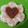 El cooksnap de Feristóteles cuando hizo Galletas Rellenas de Mermelada para San Valentín.