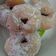 Cooksnap Norulhasni Mohd Zaini semasa beliau membuat Bebola donat.