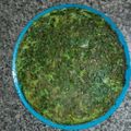 El cooksnap de Diego Chirone cuando hizo Tortilla de espinaca saludable.