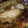 hoskins.bobby's cooksnap of when they made Baked chicken.
