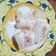 Cooksnap dari Dwi Lintang Lestari untuk resep Singkong Thailand (Fiber Creme)