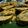 HeartbeatCookingChannel's cooksnap of when they made ইলিশপাতুরি (Ilish Paturi).