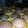 El cooksnap de Paola Lorena Bejerez Martinez cuando hizo Cupcakes de chocolate y vainilla.