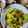 Disha Prashant Chavda's cooksnap of when they made કાંદા પૌંઆ (Kanda Poha Recipe In Gujarati).