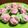 Cooksnap dari Nelly Simamora untuk resep Bolu kukus