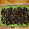 Cooksnap dari iinsawitri untuk resep Brownis kukus pandan kismis 3sdm 😉