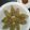 Cooksnap dari Renny Juwita untuk resep Gyouza/Dumpling Ayam