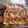 El cooksnap de juan cuando hizo Canelones con langostinos y setas.