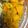 Annie Aaroe's cooksnap of when they made Roasted Butternut Squash.
