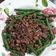 Cooksnap dari Aldy untuk resep Baby Buncis Siram Daging