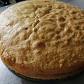 El cooksnap de Laura Evangelina Valduviez cuando hizo Bizcochuelo fácil.