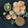 Bhavini Kotak's cooksnap of when they made પાણી પૂરી (Panipuri Recipe In Gujarati).