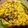 Tanzeena Mukherjee's cooksnap of when they made মুড়ি ঘন্ট (Muri Ghanto recipe in Bengali).