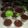 Cooksnap dari Ismi Isnaeni untuk resep Puding lumut cup