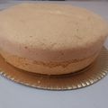 El cooksnap de noemi gomez cuando hizo Bizcochuelo básico para torta con trocitos de chocolate.