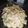 Rashee Srivastava's cooksnap of when they made Pasta with Oats white Sauce.