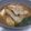 Cooksnap dari Auliafzuhroh 05 untuk resep Sundubu jjigae (순두부찌개) (Sup Tahu pedas)