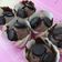 Katy Chow 的 巧克力oreo 瑪芬 cooksnap
