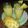 Maryam Bulama Dapso's cooksnap of when they made Ginger and pineapple juice.
