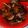 Cooksnap dari Naila s untuk resep Semur Pedas Jengkol