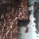 Cooksnap dari Indira untuk resep Brownies panggang chocolate chip