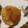 El cooksnap de Sony cuando hizo Croquetas de arroz y queso.