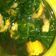 Cooksnap dari faridaa untuk resep Sayur bening kencur