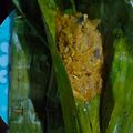 Cooksnap dari Nana untuk resep Brengkes Pindang Pencit